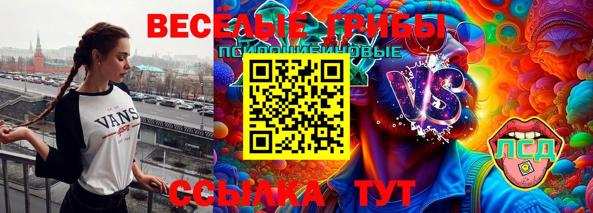 где купить   Вход с VPN  Россия  Псилоцибиновые грибы прущие грибы 