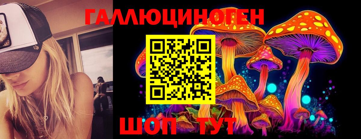 Псилоцибиновые грибы Cubensis Россия